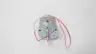 PLACID INDUSTRIES C25-24-W2 DC MOTOR 24V-DC thumbnail 3