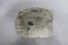 ONTARIO BELTING & POWER PUW8/2 CONVEYOR BELT 1680MM 70MM thumbnail 5