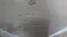 RITEPRO 15SBZ6 CHECK RITE WAFER SWING CHECK VALVE 18IN thumbnail 4