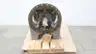 FLOWSERVE 2115253-140-REL PUMP POWER END DRIVE UNIT ASSEMBLY thumbnail 1
