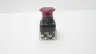 ALLEN BRADLEY 800T-FRXTP16RA1 SER F 30MM RED PUSH-PULL BUTTON ILLUMINATED thumbnail 6