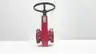 RED VALVE 75 IRON MANUAL PINCH VALVE 6IN thumbnail 1