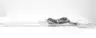 IAI RCP2-SS8R-I-56P-20-1000-P1-M-ML LINEAR  ACTUATOR 1000MM 24V-DC thumbnail 2
