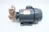 NIKUNI 25KED07Z5-T15 BRONZE REGENERATIVE TURBINE PUMP 0.75KW 460V-AC thumbnail 3
