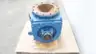 DELTA DUCON 12" XL PERMA FLO EXTREME ROTARY AIRLOCK FEEDER VALVE 12IN thumbnail 3