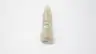 REXROTH R151144900 BALL SCREW SHAFT thumbnail 4
