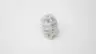 ZERO-MAX SC030R SERVOCLASS COUPLING 1/4IN X 1/2IN thumbnail 2