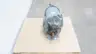 ROOTS 865118020 615 U-RAI UNIVERSAL RAI POSITIVE DISPLACEMENT ROTARY LOBE BLOWER thumbnail 2