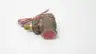 GEMS 26615 FS-200 1IN BRASS FLOW SWITCH 50-240V-AC thumbnail 2