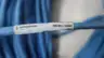 LUMBERG 0985 806-U 100/80M CAT 5E ETHERNET CORDSET CABLE 80M thumbnail 4
