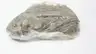 TSUBAKI RS80RIV ROLLER CHAIN 10FT 1IN thumbnail 4