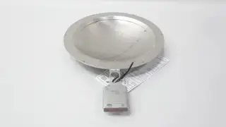 FIKE SRX RUPTURE DISC 10IN 21KG/CM2