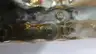 TSUBAKI RS50-1-RP ROLLER CHAIN 10FT thumbnail 4