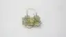 SPECIAL TIMER CORPORATION 7977A SEQUENTIAL TIMER BOARD thumbnail 4