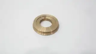 FLOWSERVE 10153725 LABYRINTH SEAL