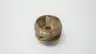 BRASS 4-VANE IMPELLER 4-1/2IN thumbnail 3