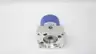 WITTENSTEIN LP090-M01-5-111-000 PLANETARY GEAR REDUCER 5:1 thumbnail 3