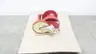 THERN M492B SPUR GEAR SERIES HAND WINCH 10000LB thumbnail 1