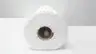 INTRALOX 900 CONVEYOR BELT 19.15FT 23.90IN thumbnail 2