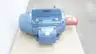 WEG 10018ET3ERB405T-W22 MOTOR 404/405T 100HP 1780RPM 230/460V-AC 3PH thumbnail 2