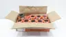 BOX OF 30 RELIABLE RGD1 RIGID COUPLING 2IN thumbnail 1