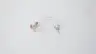NORTON 401E 121865 HOT SURFACE IGNITOR thumbnail 3