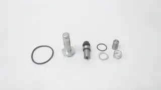 ASCO 302334-V SOLENOID VALVE REBUILD AND REPAIR KIT