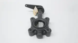 BELIMO F650HDU MANUAL STAINLESS IRON LUGGED BUTTERFLY VALVE 2IN
