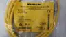 TURCK RK 4.43T-1-RS 4.43T 4-PIN FEMALE CORDSET CABLE 1M 250V-AC thumbnail 5