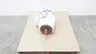 BALDOR 09G736Y639G1 SUPER-E AC MOTOR 256TCZ 20HP 1765RPM 460V-AC 3PH thumbnail 1