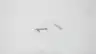 SICK 2009317 SENSOR TRANSDUCER ACCESSORIES thumbnail 3