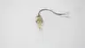 CARLO GAVAZZI VP01EP LIQUID LEVEL SENSORS 10-40V-DC thumbnail 2